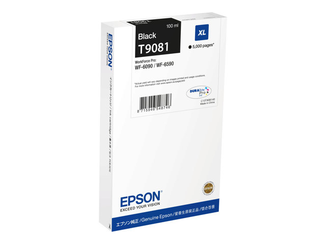 Epson Ink Cartridges, DURABrite" Pro, T9081, Singlepack, 1 x 100.0 ml Black, XL