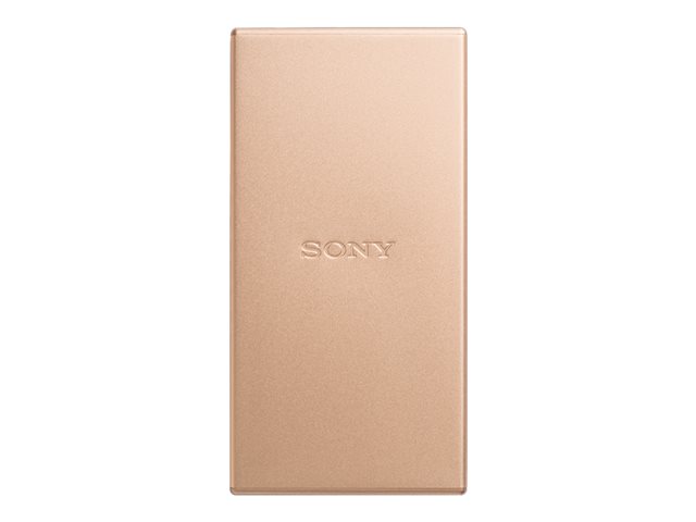 PORTABLE USB TYPE C SUPER FAST 10000 MAH GOLD 2 PORTS MAX 6.0A