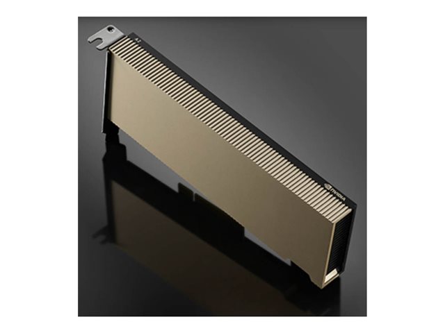 NVIDIA A2 - GPU computing processor - NVIDIA A2 Tensor Core - 16 GB GDDR6 - PCIe 4.0 x8 low profile - fanless