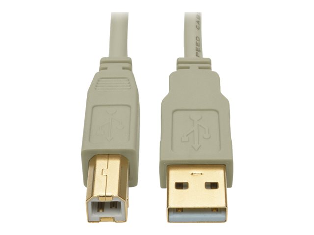 Eaton Tripp Lite Series USB 2.0 A to B Cable (M/M), Beige, 6 ft. (1.83 m) - USB cable - USB to USB Type B - 1.83 m