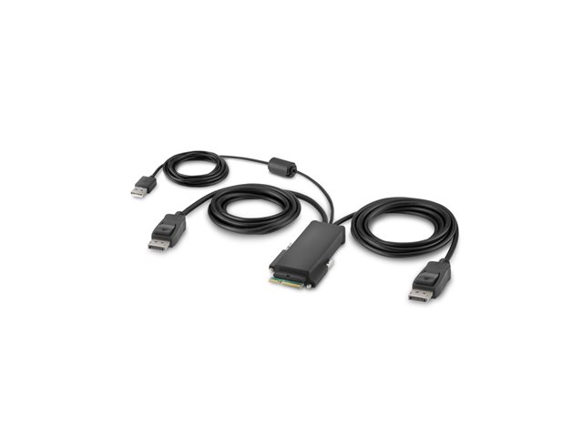 Belkin Secure Modular DP Dual Head Host Cable - video / USB cable - TAA Compliant - 1.83 m