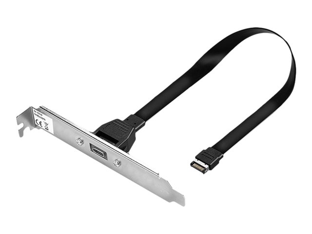 Lindy - USB panel - 24 pin USB-C to 20 pin USB 3.1 header - 45 cm