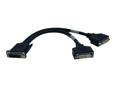 Tripp Lite 1ft DMS-59 Graphics Card to Dual DVI Splitter Y Cable M/Fx2 1' - DVI splitter - 30 cm