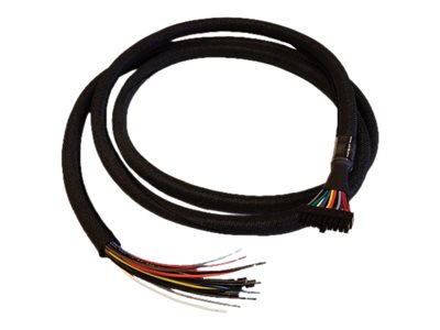 Cradlepoint - GPIO cable - 20 pin dual row Molex to bare wire - 1.98 m - for COR IBR1700-1200M, IBR1700-1200M-B, IBR1700-600M