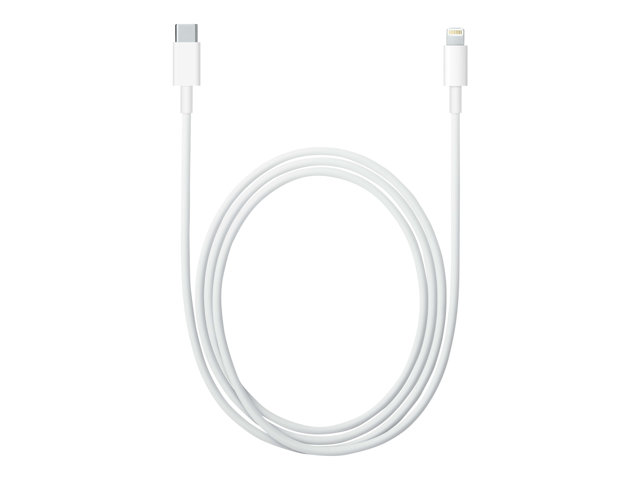 Apple USB-C to Lightning Cable - Lightning cable - USB-C male to Lightning male - 1 m - for iPad/iPhone/iPod (Lightning)