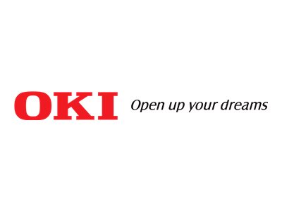 OKI - flash memory card - 16 GB - SDHC