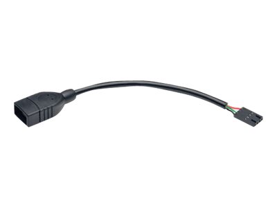Eaton Tripp Lite Series USB 2.0 A Female to USB Motherboard 4-PIN IDC Header Cable, 6-in. (15.24 cm) - USB internal to external adapter - USB to 4 pin USB 2.0 header - 15.2 cm