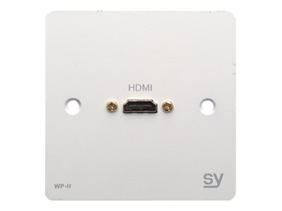 SY WP-H - mounting plate