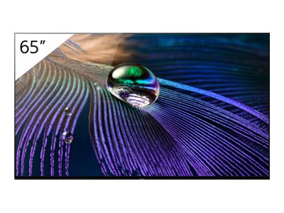 Sony Bravia Professional Displays FWD-65A90J 65" Class (64.5" viewable) OLED display - 4K - for digital signage