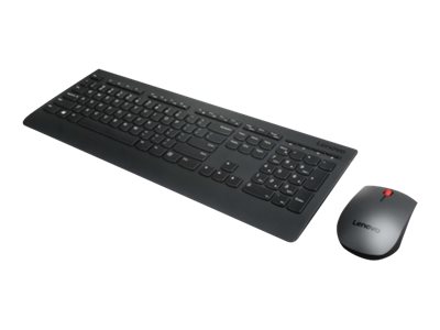 Lenovo Professional Combo - keyboard and mouse set - French Input Device