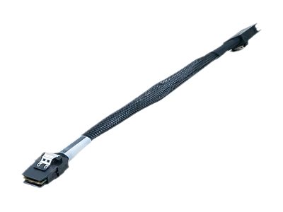 CABLE MINISASINT2 .