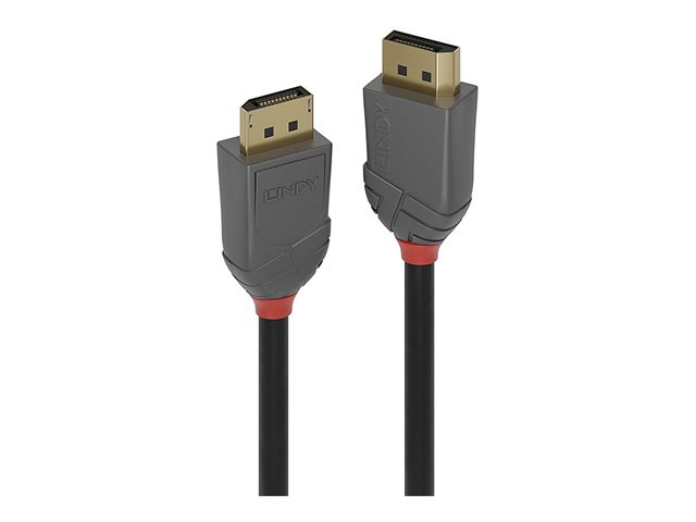 Lindy Anthra Line - DisplayPort cable - DisplayPort to DisplayPort - 10 m