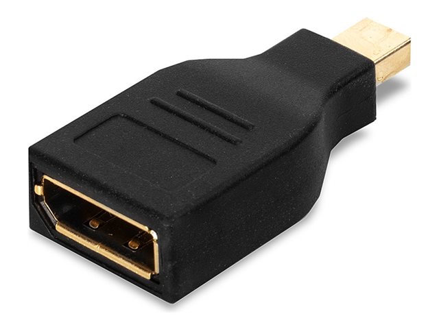 Lindy DisplayPort adapter