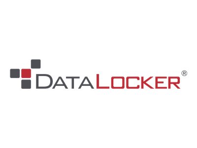 DataLocker DL3 - solid state drive - 4 TB - USB 3.0 - TAA Compliant