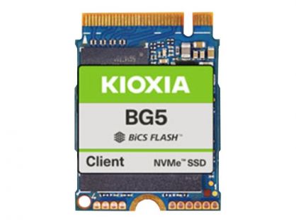 KIOXIA BG5 Series KBG50ZNS256G - SSD - 256 GB - client - PCIe 4.0 x4 (NVMe)