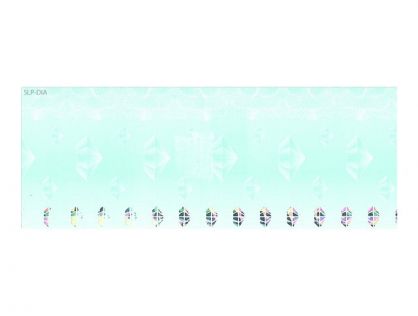 SLP-DIA VOUCHER 57X150MM 300 TAGS/ROLL 1 ROLL/BOX
