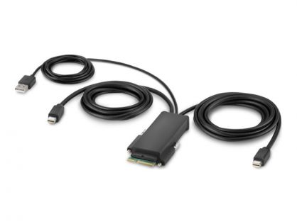 Belkin Secure Modular Mini DP Dual Head Host Cable - video cable - Mini DisplayPort - 1.83 m