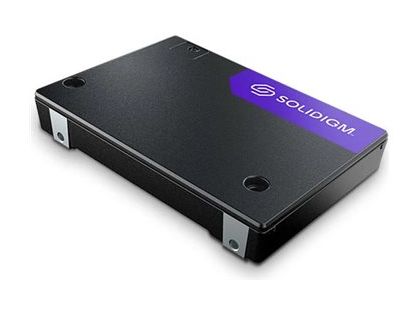 Solidigm D7-PS1010 Series - SSD - Enterprise - 15.36 TB - internal - 2.5" - U.2 PCIe 5.0 x4 (NVMe)