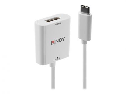 Lindy - external video adapter - white