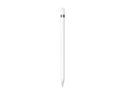 Apple Pencil (1st Generation) + Lightning to USBC Adapter