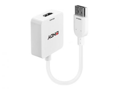 Lindy - external video adapter