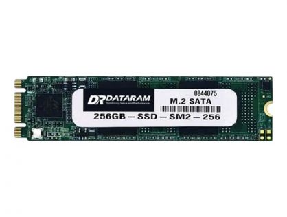 Dataram SSDM2-SATA - SSD - 256 GB - SATA 6Gb/s