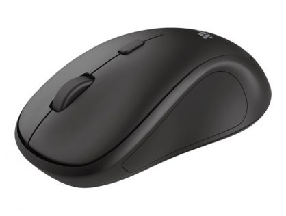 TM-250 WIRELESS MOUSE EN