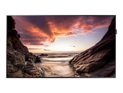 Samsung PM55F-BC PMF-BC Series - 55" LED-backlit LCD display - for digital signage / interactive communication