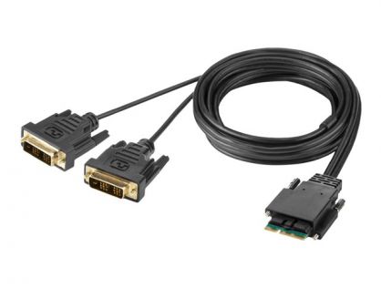 Belkin Secure Modular DVI Dual Head Console Cable - video cable - DVI - TAA Compliant - 1.83 m