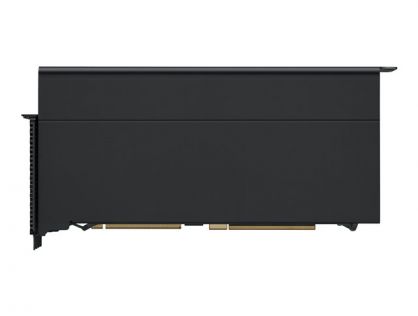 Apple Radeon Pro W6800X MPX Module - graphics card - Radeon Pro W6800X - 32 GB