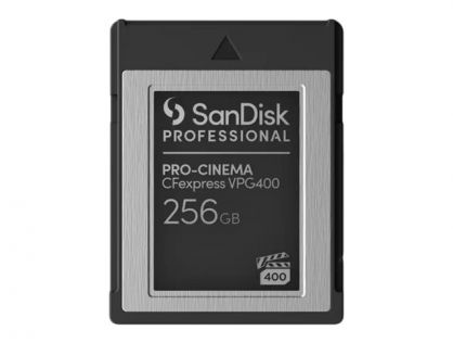 SanDisk Professional - Flash memory card - 256 GB - CFexpress Type B - black
