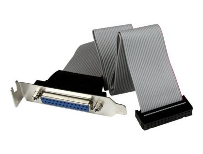 StarTech.com Low Profile 16in Parallel Port Header Cable Adapter w/ Bracket - DB25 to IDC26 Parallel Port Bracket DB-25 (F) to IDC 26 (F) (PLATE25F16LP) - parallel panel - DB-25 to 26 PIN IDC - 40.64 cm