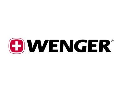 Wenger Synergy - Notebook carrying backpack - 15.4" - for Toughbook CF-19, 31, 52, 53, C1, F9, H1, H2, T8, U1, W8, Toughpad FZ-A2