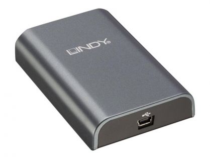 Lindy USB 2.0 DVI Adapter Pro - external video adapter