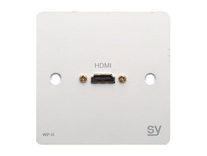 SY WP-H - mounting plate