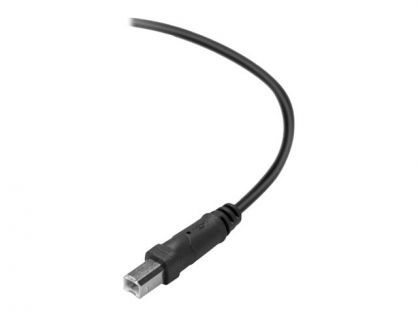 Belkin Premium Printer Cable - USB cable - USB Type B to USB - 3 m