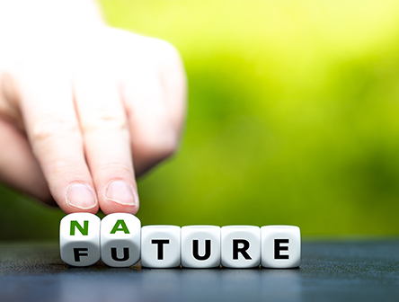 The words Nature and Future on cubes to represent the link between the 2 words for sustainability