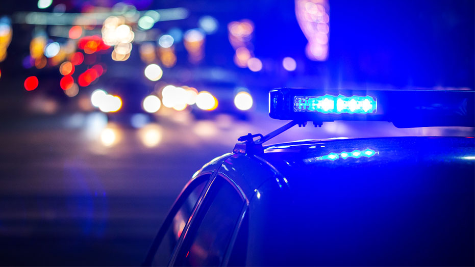 Police Lights at night