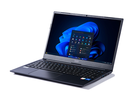 A Stone Laptop