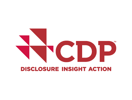 CDP Disclosure Insight Action